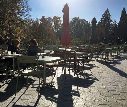 Botanischer Garten Bonn - AP02