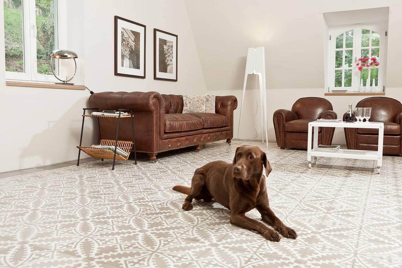 Zementfliesen im Wohnzimmer mit braunem Ledersofa und Hund Zementfliesen im Wohnzimmer mit braunem Ledersofa und Hund